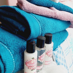 Kombinácia tyrkysovej a ružovej farby vo Vašej domácnosti