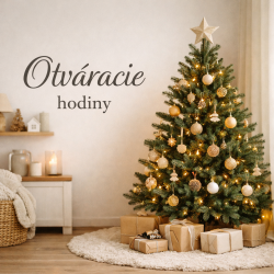 Keď spomaľujeme, robíme to spolu – Vianoce v EVENIT