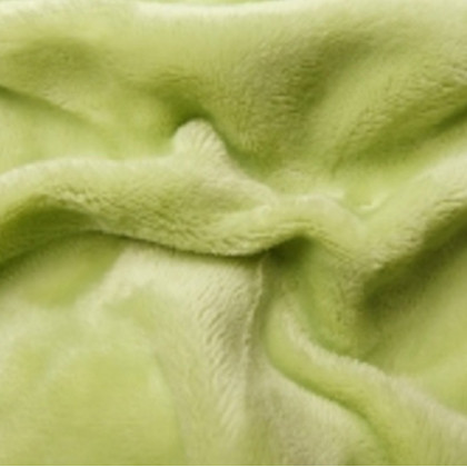 Prestieradlo SLEEP WELL Mikroplyš - pistáciová