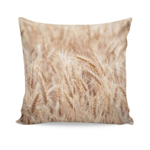 Dekoračná obliečka na vankúš GRAIN 50x50 cm