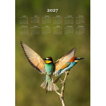 Kalendár 2027 - Vtáci kuchynská utierka
