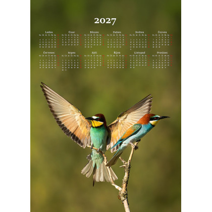 Kalendár 2027 - Vtáci kuchynská utierka
