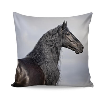 Bavlnená obliečka na vankúš Friesian 2 Bavlnená obliečka na vankúš Friesian 2