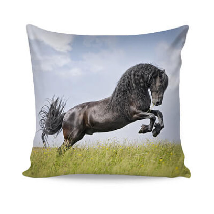 Bavlnená obliečka na vankúš Friesian 1 Bavlnená obliečka na vankúš Friesian 1
